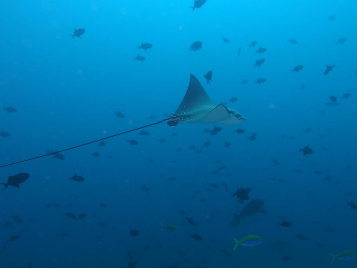 Leaf Fish Guesthouse Maldives Keyodhoo  Exterior foto